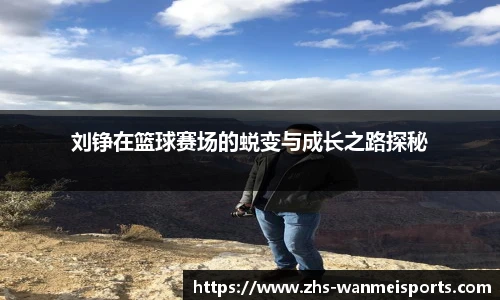 完美体育官网